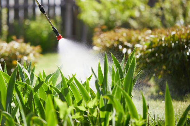 24/7 Emergency Wasp Removal experts in Mount Morris, IL