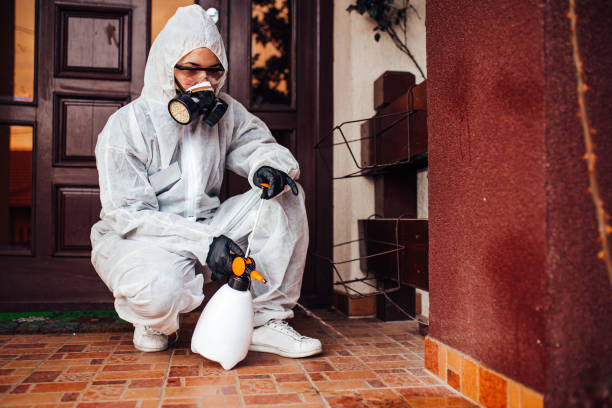 Reliable Wasp Removal contractor in Mount Morris, IL by Show Me Pest Control