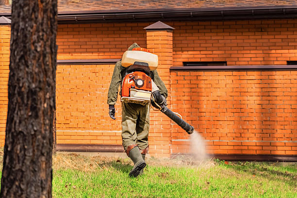 Top rated local Wasp Removal specialists in Mount Morris, IL